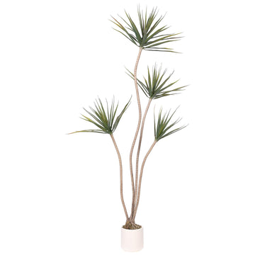 Dracaena Marginata Tree 5FT Faux Dragon Plant with Roots 60inch