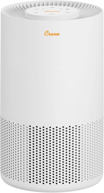 True HEPA Air Purifiers for Home, Up To 250 Sq Ft, Air Purifiers For Bedroom, and Office, Removes Dust, Smoke, Pet