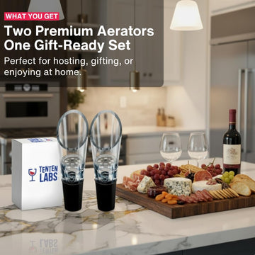 Wine Aerator Pourer (2-Pack), Decanter Spout, Black - Set of 2
