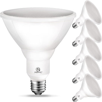 Energetic PAR38 Outdoor LED Flood Light Bulb, 5000K Daylight, 90 Watt Equivalent, Wet Rated, 900LM, E26 Base