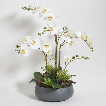 Faux Orchid Plant w/Succulents, 24 in, Grey, Home Decor