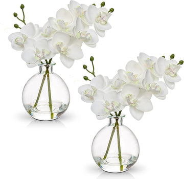 White Orchids Artificial Flowers Faux Orchid Arrangement with Clear Glass Vase Set of 2 Real Touch Phalaenopsis