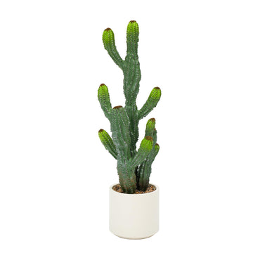 32" Artificial Cactus Plants, Tall Artificial Plants Outdoor, Tall Fake Cacti Plant UV-Resistant in White Pot, Faux