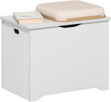 Basic Storage Chest, Storage Bench with Safety Hinged Soft Closed Lid, Storage Box, 15.6 x 23.6 x 18, White
