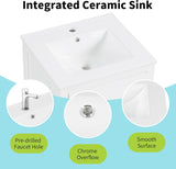 20-inch Solid Wood Bathroom Vanity with Sink, Free Standing Cabinet, Soft Closing Door, Storage Rack