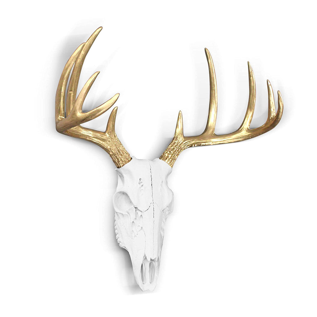 Faux Deer Skull Wall Decor, 16", White + Gold Antler