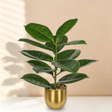 Fake Plants Mini Artificial Rubber Tree Plant in Pot Decor