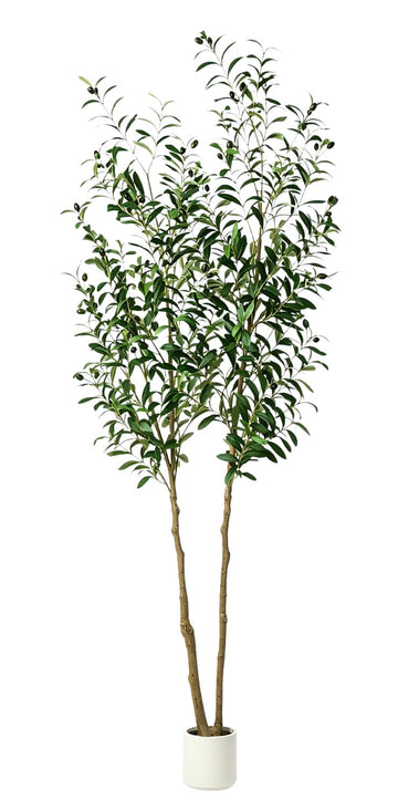 7ft Olive Trees Artificial Indoor Faux Olive Tree with White Planter