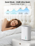 Small Dehumidifier for Home, 30oz Mini Quiet Dehumidifier for Bathroom Bedroom