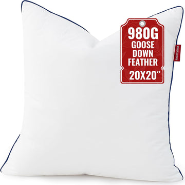 Down Pillow Inserts 20x20, 100% Goose Down Feather Throw Pillows Inserts - Ultra Plush, Decorative Pillow Insert
