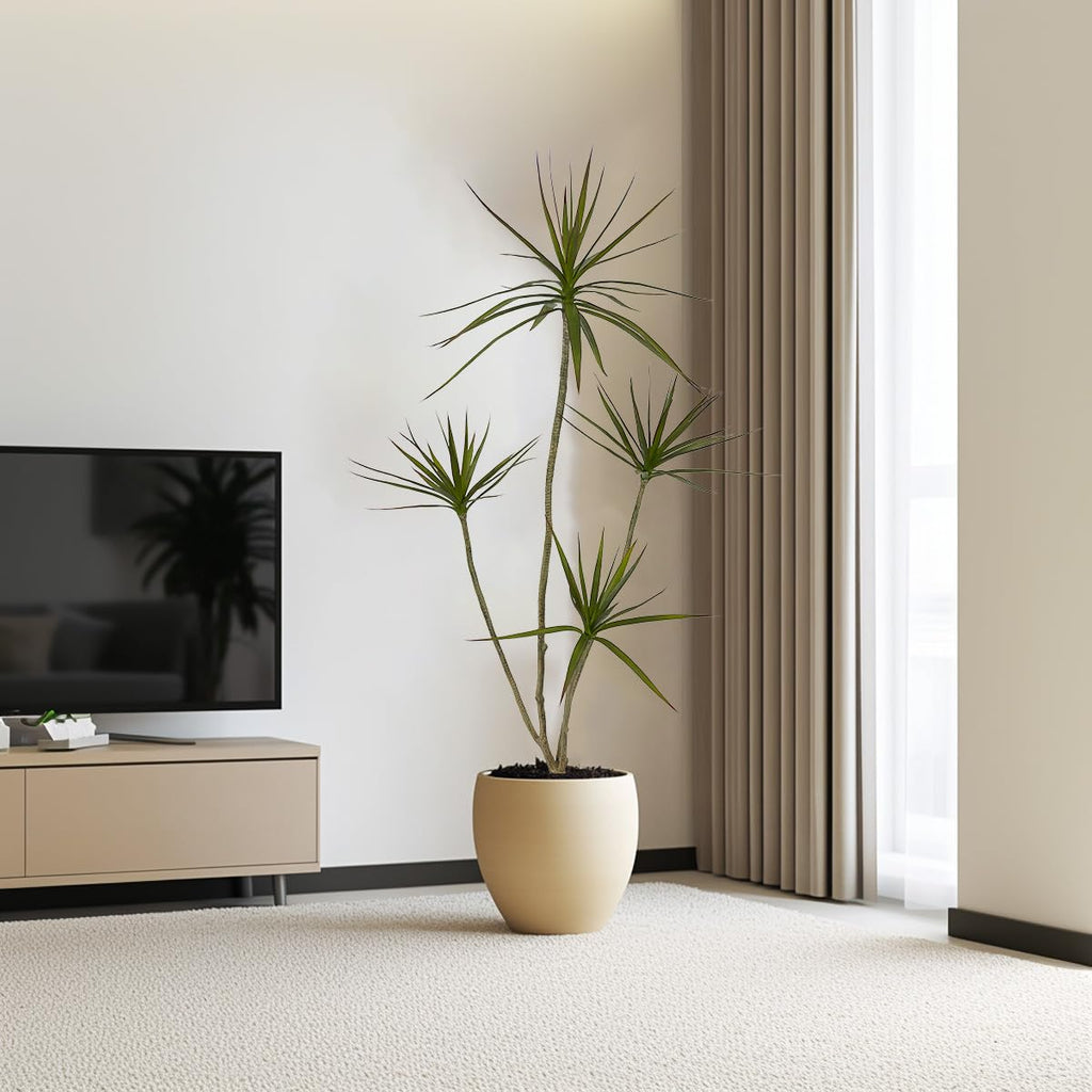 Artificial Dracaena marginata Plant, 5ft Tall Fake Tree