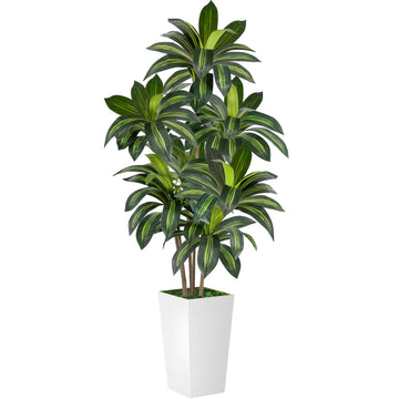 Dracaena Tree 6FT Artificial, 72in Tall Faux Dracaena Tree with 15.7 White Planter, Fake Potted Tree for Indoor &