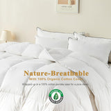 Feather Down Comforter Queen, Luxury Extra-Fluffy Duvet Insert