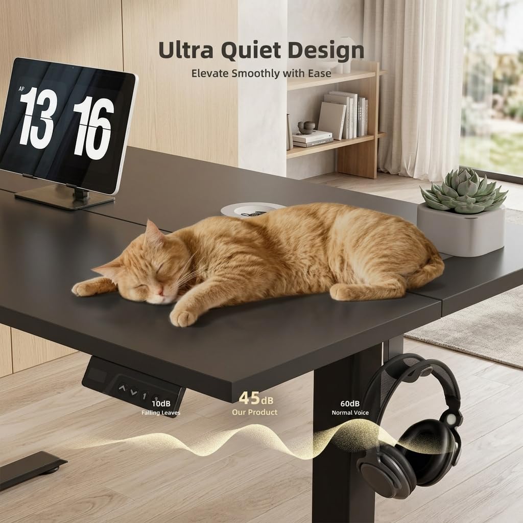 Electric Height Adjustable Standing Desk, 40x24 Inch, Deep Black