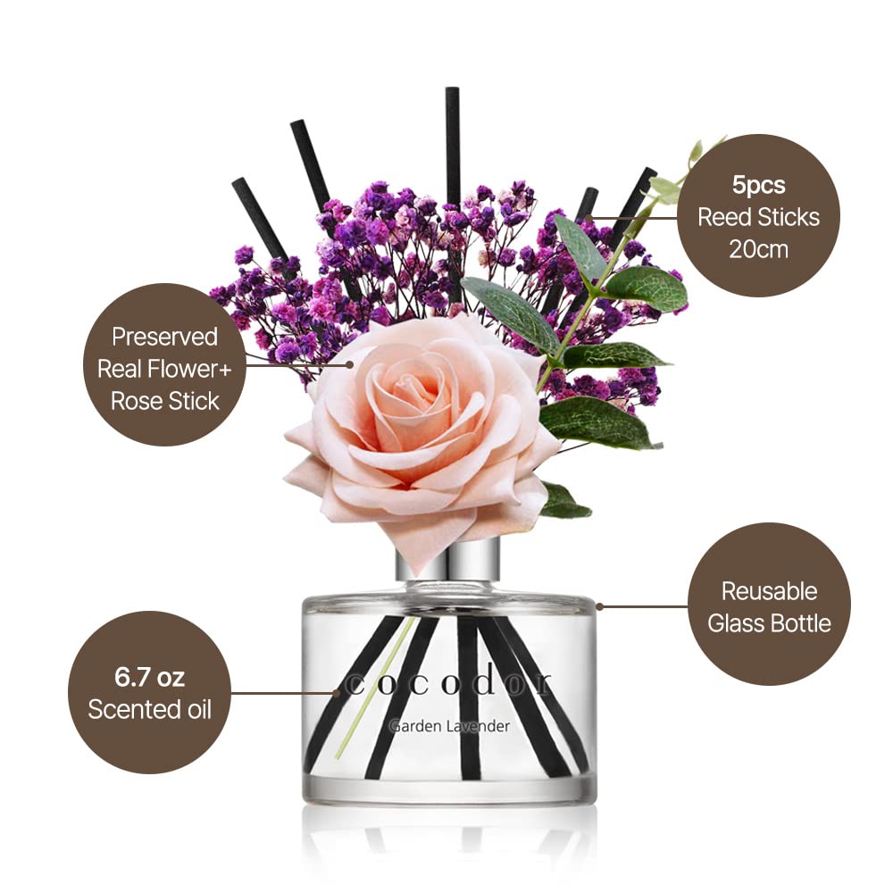 Rose Flower Reed Diffuser/Black Cherry/6.7oz(200ml)/1 Pack/Reed Diffuser, Reed Diffuser Set, Oil Diffuser & Reed