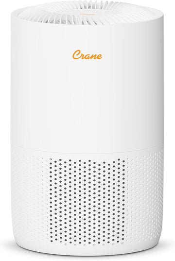 True HEPA Air Purifiers for Home, Up To 300 Sq Ft, Air Purifiers For Bedroom, and Office, Removes Du