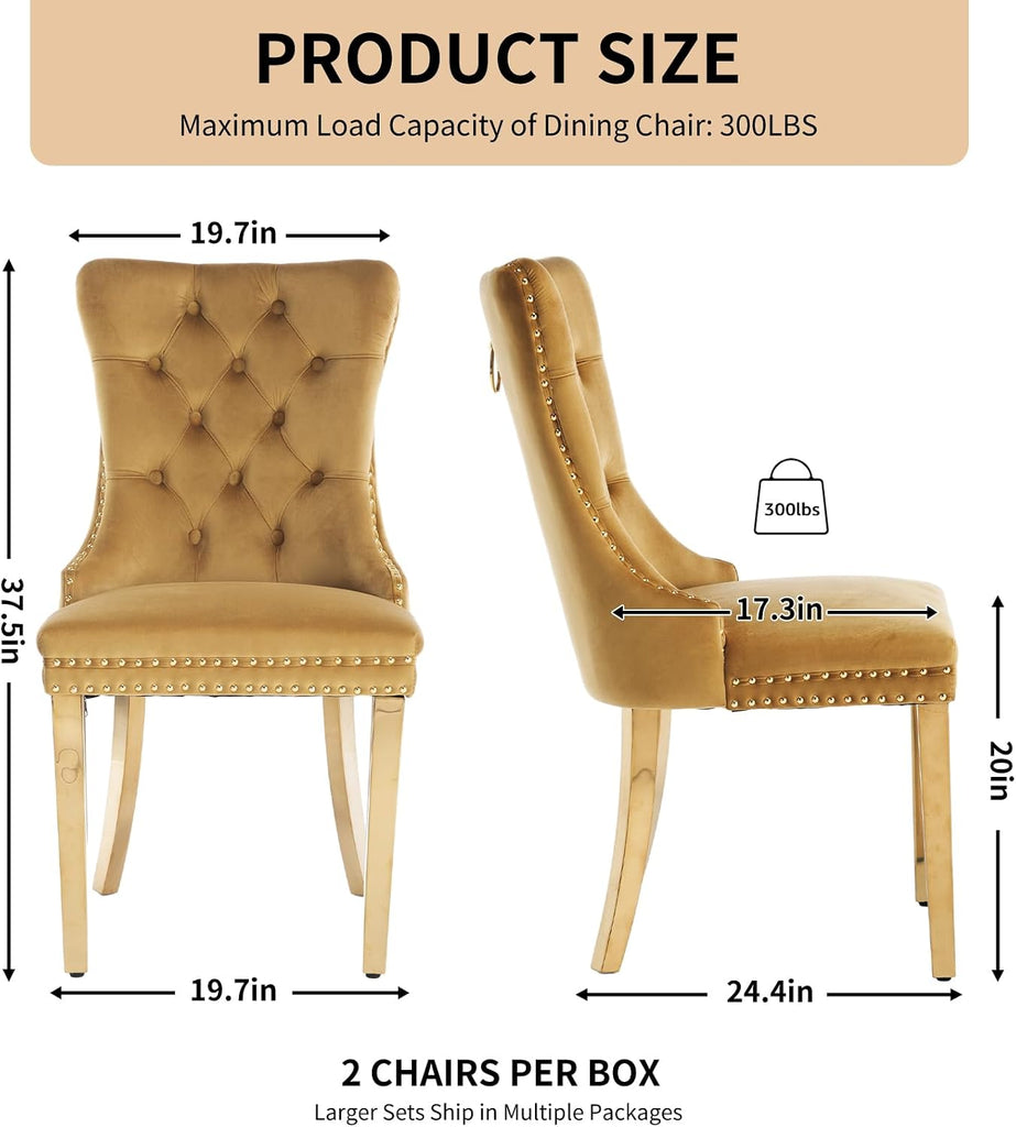 Velvet Dining Chair Set of 2, Tufted Upholstered High Wingback Chairs with Nailhead Trim, Pull Ring Back, Gold