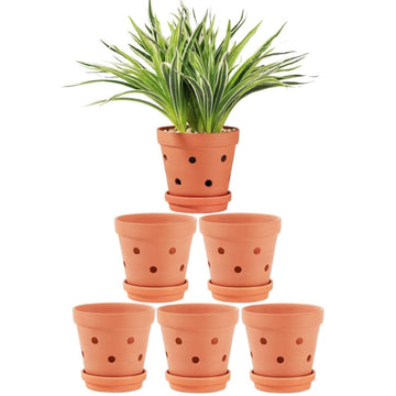 6 Inch Clay Orchid Pots With Drainage Holes & Saucers - 6 Pack Large Terracotta Planters for Repotting, Indoor &