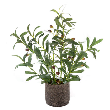 Fake Faux Small Olive Potted Plant 18" Rustic Cement Planter