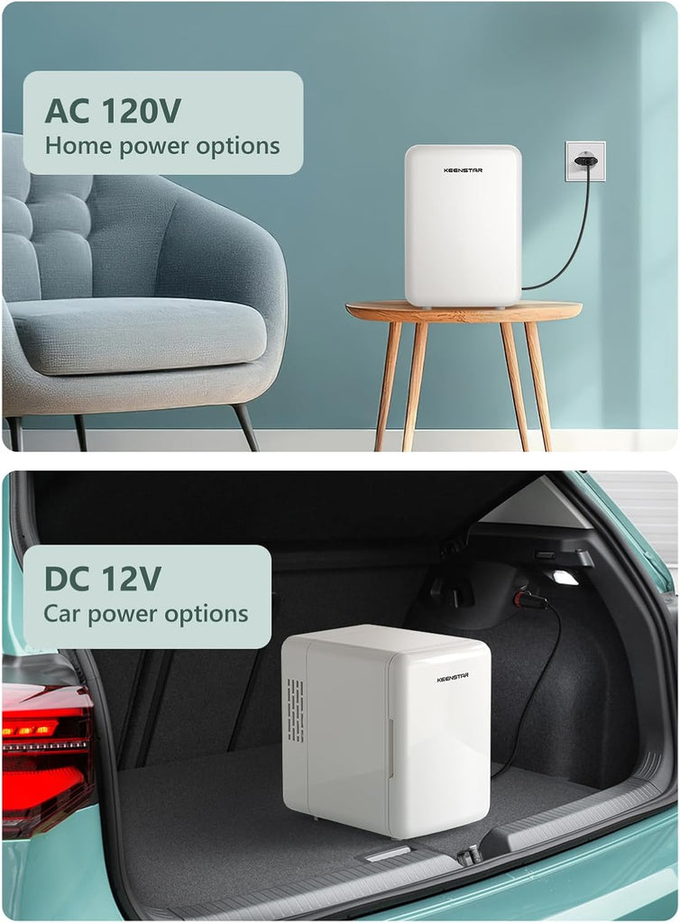 4L Mini Fridge for Skincare & Food, 110V/12V Cooler & Warmer Portable Refrigerator for Bedroom, Office, Car, Dorm