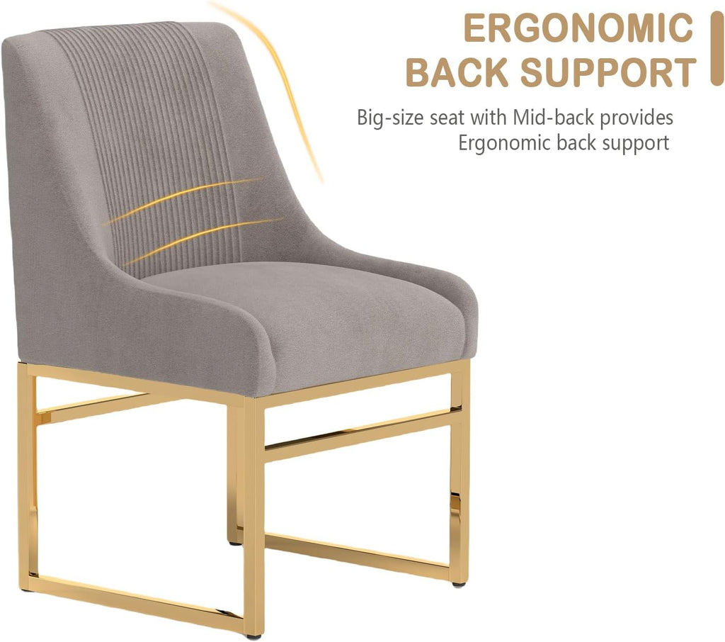 Kitchen & Dining Room Chairs Set of 2 Mid Century Modern Dining Chairs Upholstered Dining Chairs with Polished Gold