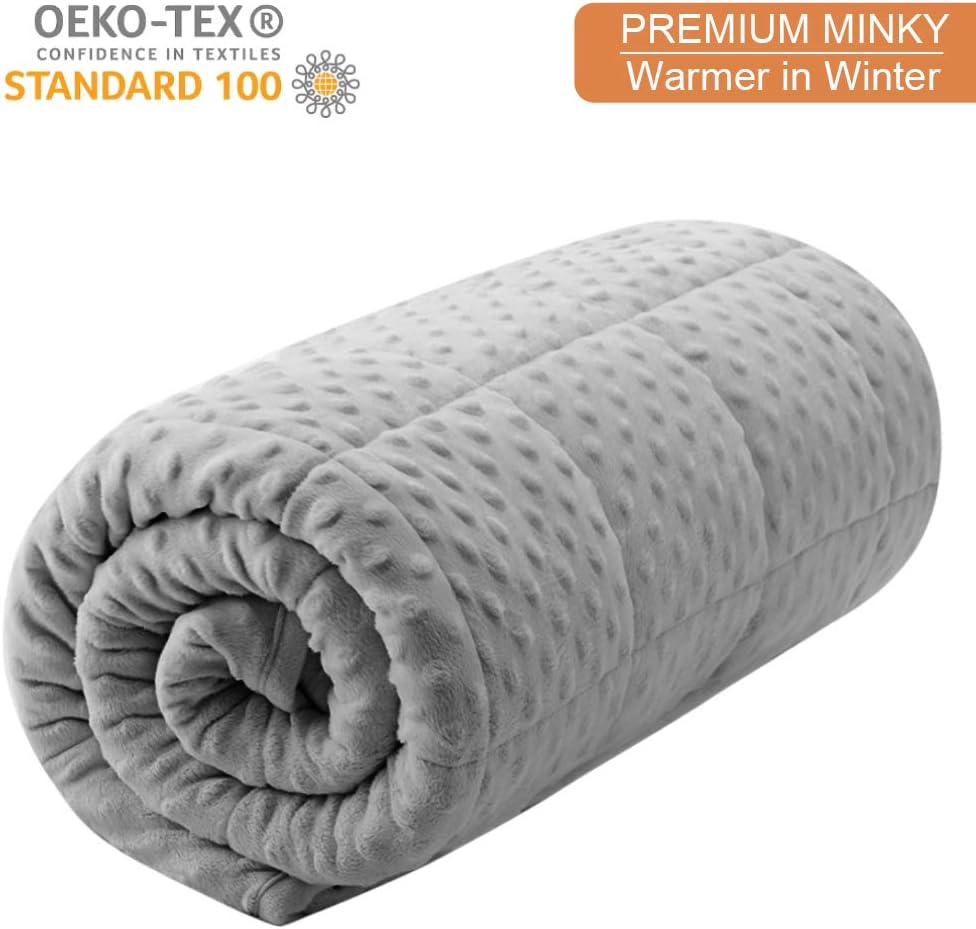 Minky Weighted Blanket Queen 15lbs for Adults(60"×80",Grey Breathable Super Soft for All Season,Heavy Blanket with