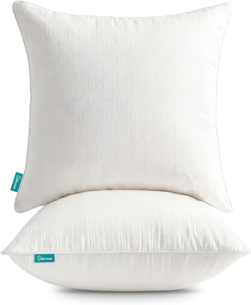 Throw Pillow Inserts 22x22, Decorative Throw Pillows - Set of 2