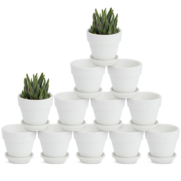 Mini Terracotta Pots - Pot with Drainage Hole - Versatile Succulent & Herb Planter - Paintable White Planter for
