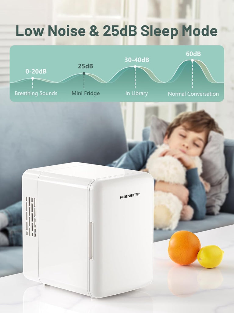 4L Mini Fridge for Skincare & Food, 110V/12V Cooler & Warmer Portable Refrigerator for Bedroom, Office, Car, Dorm