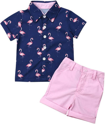 Toddler Baby Boy Flamingo Short Sleeve Button Down Shirt & Casual Shorts Set Summer Outfits Clothes