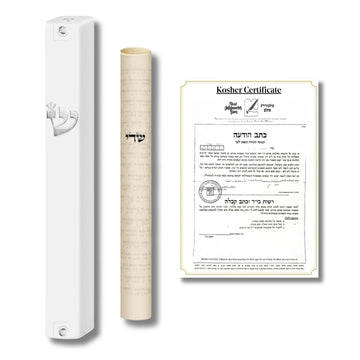 5" White Mezuzah Case with 4" (10cm) Kosher Mezuzah Scroll