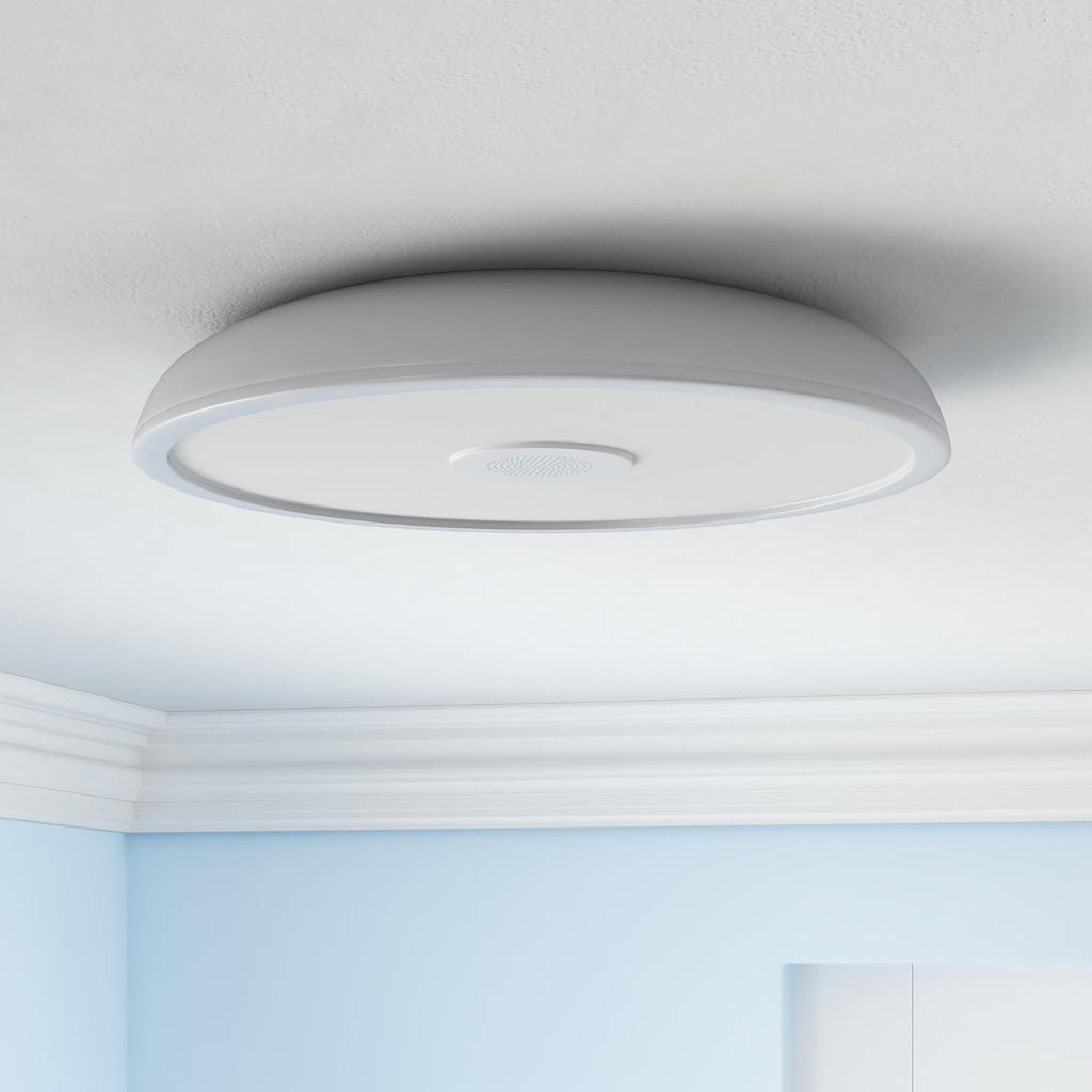 Smart Waterproof LED Flush Mount Ceiling Light Fixture,with Bluetooth Speaker,11 Inch,18 watt,Dimmable Music Lamp,RGB