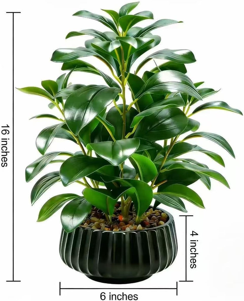 16" Artificial Peperomia Potted Plant in Black Ribbed Ceramic Planter Realistic Faux Green Leaves Tabletop Branches
