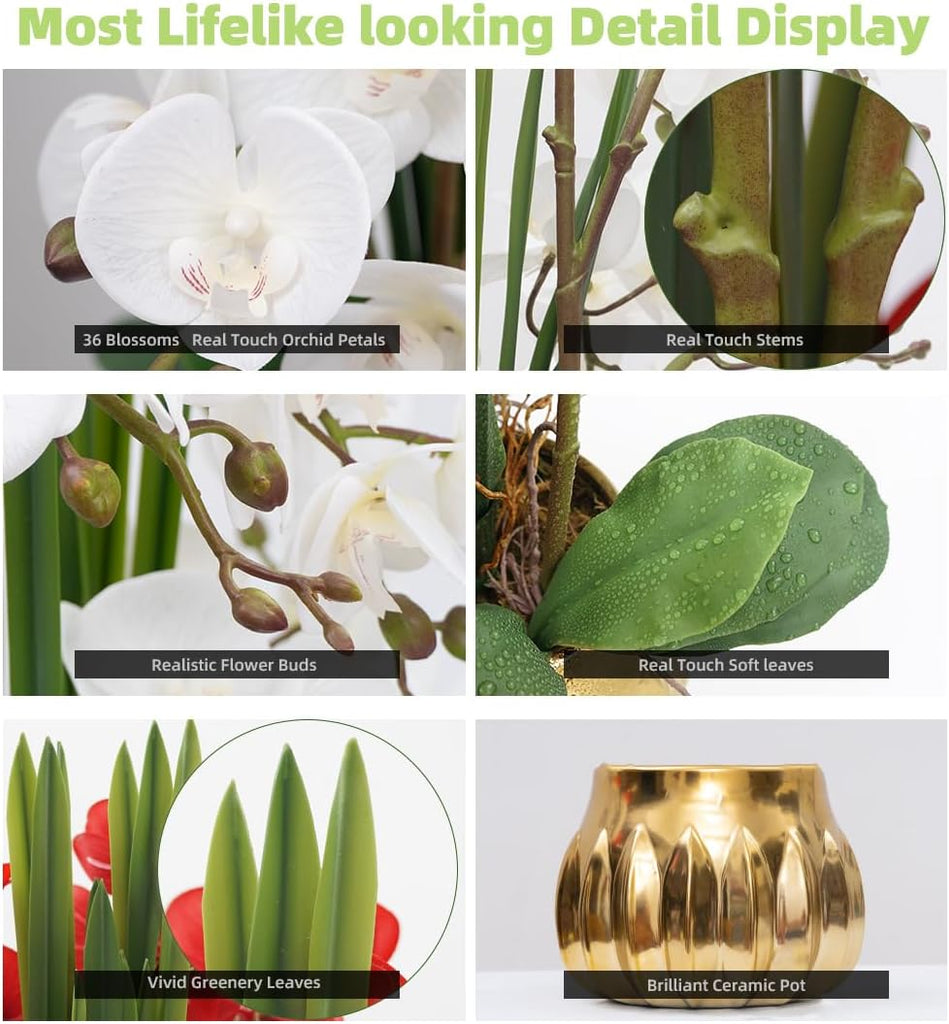 Artificial Orchid Flower Real Touch Faux Orchids in Ceramic Vase Large 22.9'' Fake Flowers White Phalaenopsis Floral