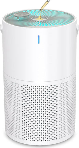 Air Purifiers for Bedroom Office, H13 True HEPA Filter Air Purifiers for Home Pets, Smoke, Odor, Dus