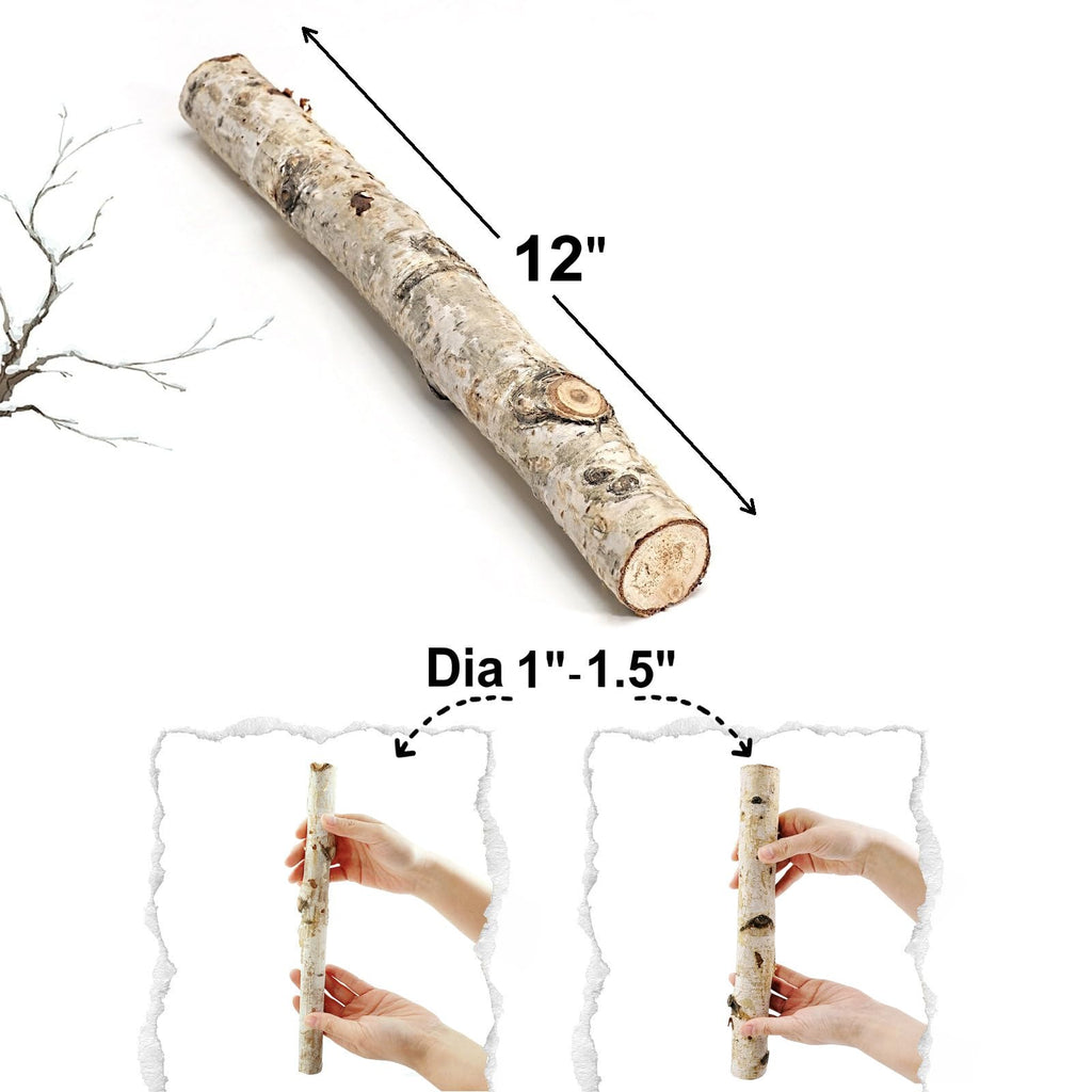 12 Inches Birch Logs Set of 12 for Rustic Home Decor