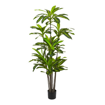 Artificial Dracaena Tree 6FT - Fake Tree with Black Planter - Faux Yucca Tall Fake Floor Plant in Pot - Artificial
