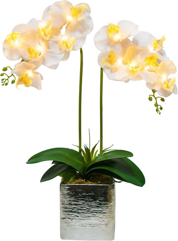 Orchid Lamp-LED Lighted Orchid Arrangements,Pre Lit Artificial Orchid,Light Up Flower Lights, Faux Orchid