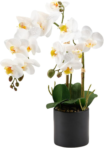 17" Artificial White Phalaenopsis Orchid in Modern Black Ceramic Pot