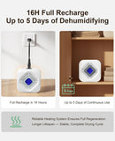Dehumidifier for Bathroom with Color-Changing Beads, Rechargeable Small Dehumidifier for Closet