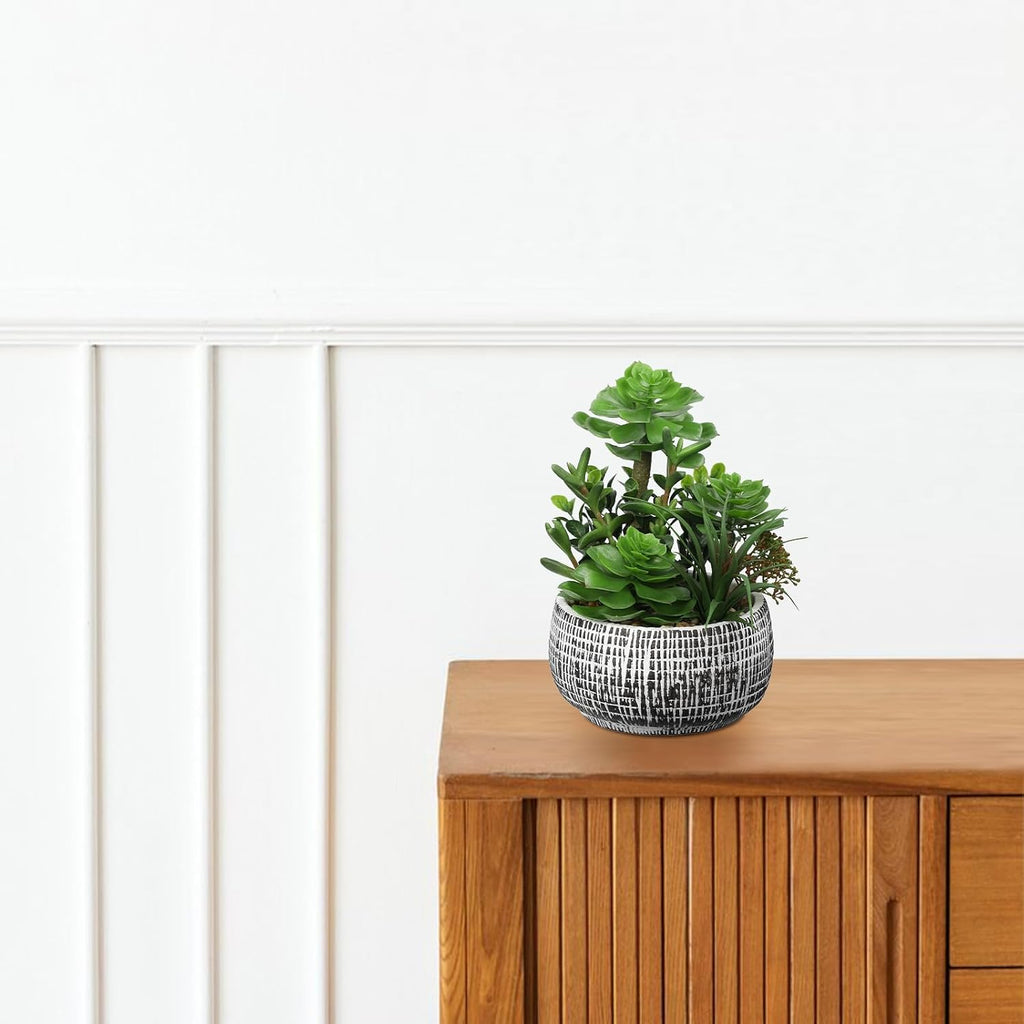 Large Artificial Succulents in Ceramic Pot Faux Succulent Arrangement 10" | Realistic Artificial Plants Indoor, Fake