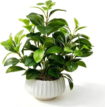 Artificial Peperomia Plants 16.5" Tall Lifelike Faux Greenery in 6" White Ribbed Ceramic Planter Realistic Indoor