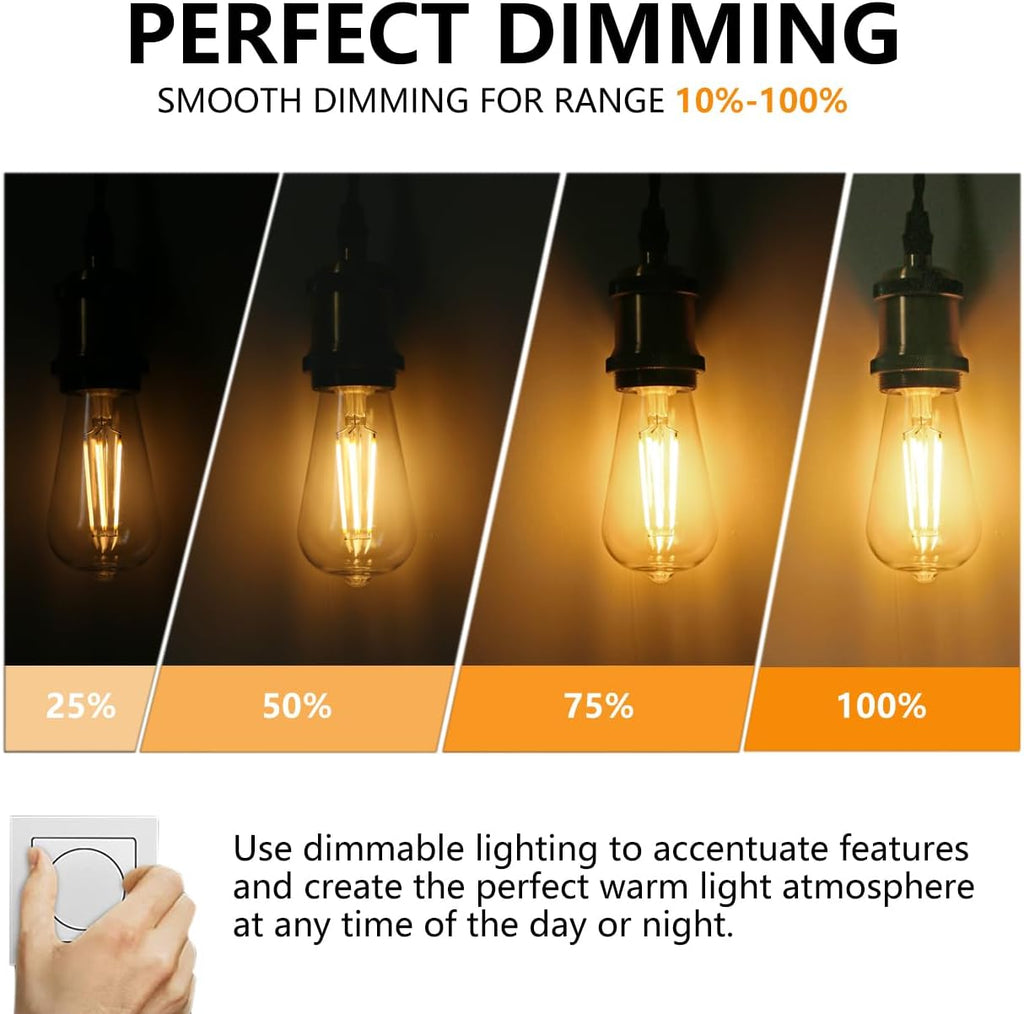 ST58/ST19 Vintage LED Edison Bulbs 60W Equivalent, Warm White 2700K, Dimmable 6W Edison Light Bulbs, 800LM, E26