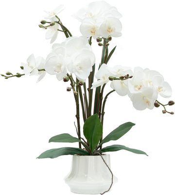 Artificial Orchid Flower Plant 20.9'' Real Touch Faux Orchids in Ceramic Vase White Fake Phalaenopsis Flower