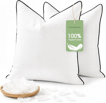 Organic Feathers Down Pillow Insert 22x22 - Set of 2
