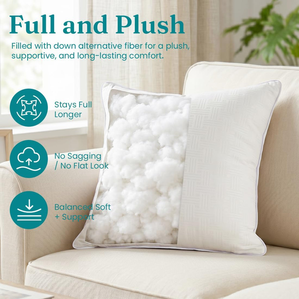 Throw Pillow Inserts 20x20, Decorative Throw Pillows - Set of 2