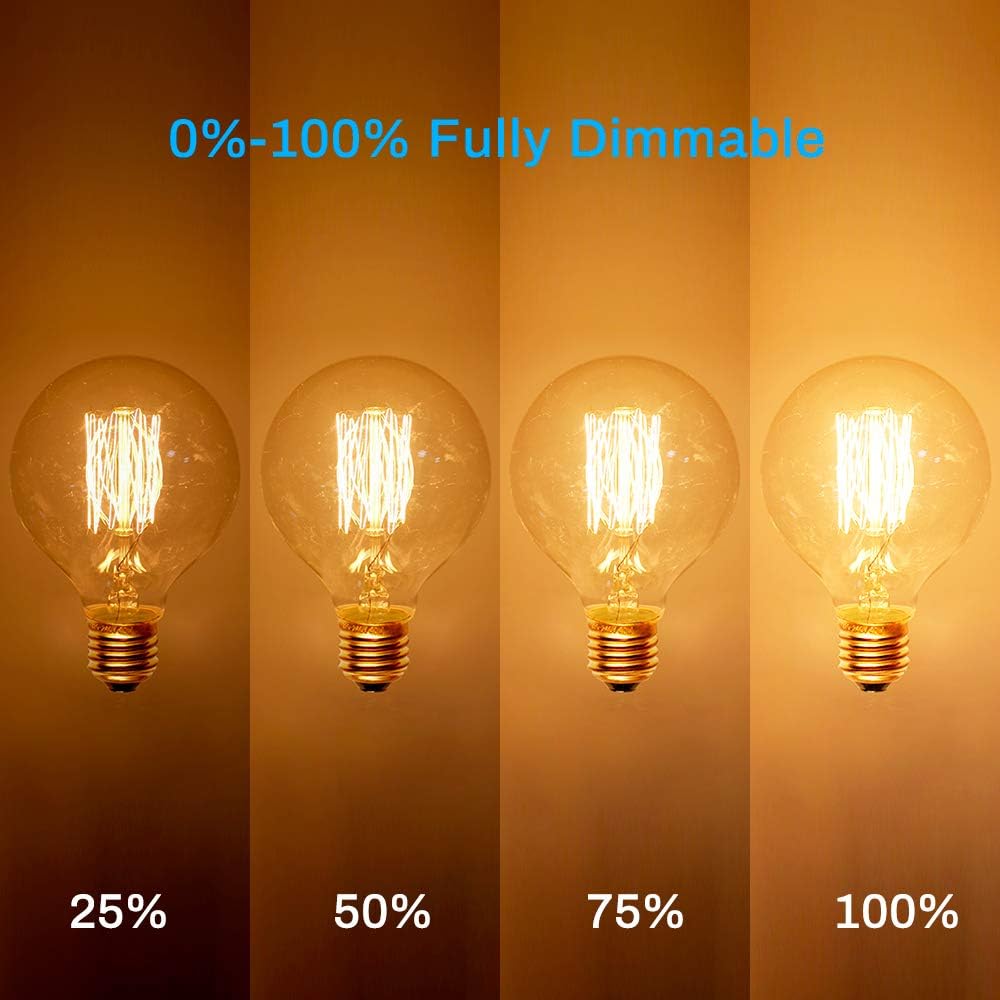 Edison Incandescent Light Bulbs 60 Watt, G25(G80) Vintage Light Large Bulb, 6-Pack Globe Bulbs 2100K Warm White, E26