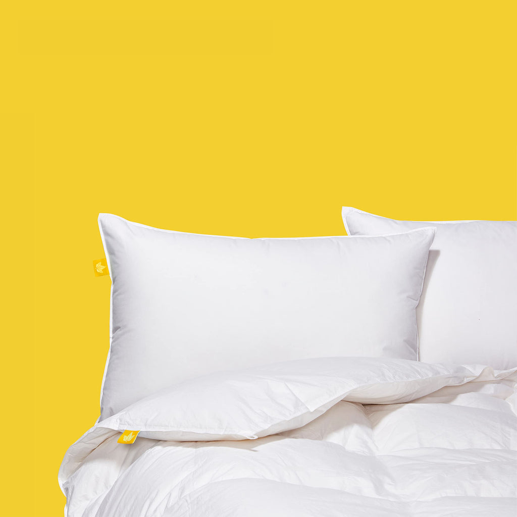 Down & Feather Co. - All Season Weight White Feather & Down Duvet XL Queen Size - 260 TC Shell 100% Cotton - Oeko TEX