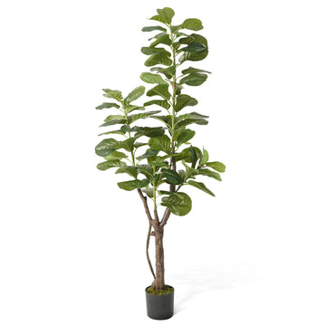 Artificial Fiddle Leaf Fig Tree, 6/7 Feet in Pot with Dried Moss, for Indoor House Home Office Store, Potted Ficus
