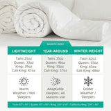 Down Comforter Queen, All Season Duvet Insert, Ultra-Soft High Fill-Power Bedding Comforter